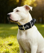 Dog Collar for Large Dogs,2 in Wide Heavy Duty,Pressure-Relief Padded, E-S | Professional Protection for Large and Giant Breeds,Handle for Control,Stainless Steel Buckle Ultra Safety,17-20 in
