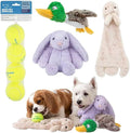 Best Pet Supplies Squeaky Dog Toys with Soft Durable Fabric for Small, Medium and Large Pets Interactive Toy for Indoor Play, Supports Active Biting and Play - Bunny Bunny Duck Small
