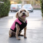 Gooby Fashion Vest Dog Jacket - Pink, X-Large - Warm Zip Up Bomber Vest with Dual D Ring Leash - Winter Water Resistant Small Dog Sweater