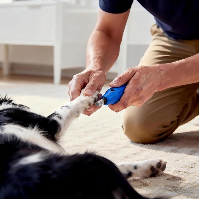 Dog Nail Grinder Bits for Dog and Cat Pet Nail Grinder Attachment Pet Nail File & Clippers for Medium Large Dogs CD(4Pack)