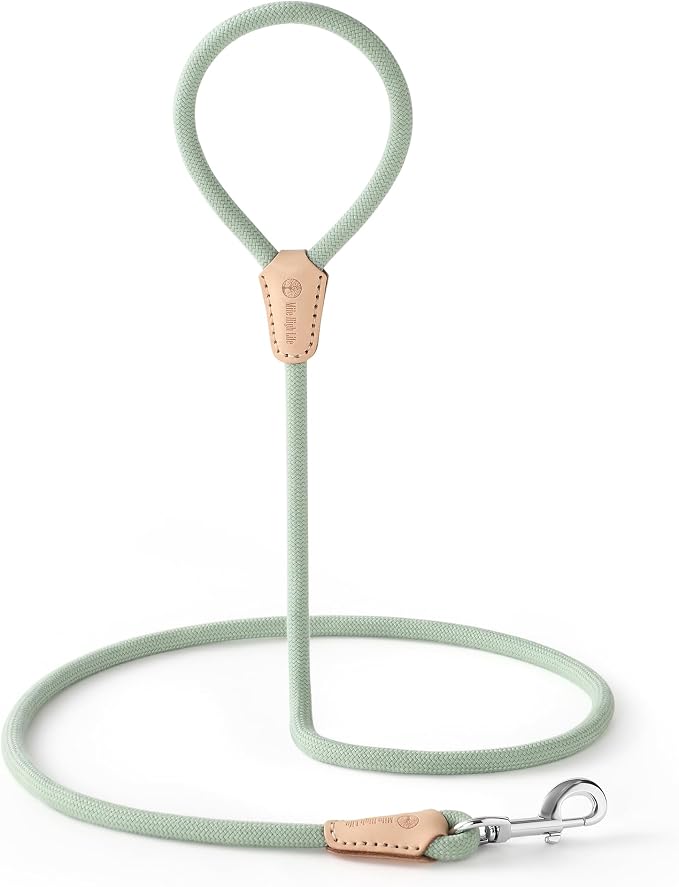 Mile High Life Green Dog Leash with Genuine Leather Connection, 4/5/6 FT | Rope Leash, Heavy Duty 360° Swivel Metal Clasp, for Small Medium & Large Dogs (Cream Green, 48 Inch)