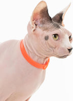 3 Pack Breakaway Cat Collar - Soft, Comfortable, and Lightweight Safety Buckle Collar with Name Tag Ring for Outdoor Cats and Sensitive Skin Kittens by Nuvuq (6 ⅞" to 10 ¼") (Black, Orange and Green)