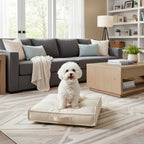 Indoor Dog Bed with Removable Washable Cover, Soft Basketweave Fabric, Reversible Cushion, Carry Handle, Baffle Construction to Help Prevent Fill Shifting, Cream - Small (24"x24")