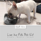 Felli Pet Oblik Acrylic Raised Dog Food Water Bowl Stainless Steel Slanted Oval Dish for Short Leg Puppy & Small Medium Pet, Elevated Tilted Metal Feeder (Smoky, 1.5 Cups Oval Dish)