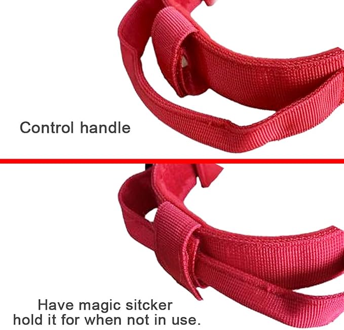 Tactical Dog Collar for Large Dogs with Control Handle,Red,XL | 1000D Heavy-Duty Nylon Fabric,Quick-Release Metal Buckle,Adjustable Fit,Soft-Padded Webbing,D-Ring,for Training & Hiking