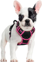 rabbitgoo Dog Harness, No Pull for Small Dogs with 2 Leash Clips, Pet Vest | No Choke with Handle, Adjustable Soft Padded, Reflective, Easy Control for Walking, Black & Hot Pink, Small
