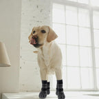 EXPAWLORER 6PCS Anti-Slip Dog Socks to Prevent Licking Paws,Dog Shoes for Hot Pavement,Best Paw Protector Traction Control on Hardwood Floor,Dog Booties for Puppy Small Medium Large Senior Dogs