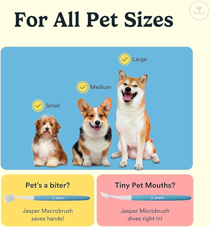 Jasper Dog Toothbrush, 360° Finger Toothbrush for Dogs, Multicolor 4-Pack | 12x More Bristles, Teeth Cleaning Kit for Small & Large Pets, Toothpaste Not Included, Fights Bad Breath, Extra Soft Silicone