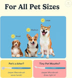 Jasper Dog Toothbrush, 360° Finger Toothbrush for Dogs, Multicolor 4-Pack | 12x More Bristles, Teeth Cleaning Kit for Small & Large Pets, Toothpaste Not Included, Fights Bad Breath, Extra Soft Silicone