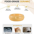 6.3 Inch Ceramic Cat Bowls with Food Mat, 3D Cheese Shapes | Extra Wide Food & Water Bowls 300 ml, High Capacity for Small Dogs & Cats, Dishwasher and Microwave Safe