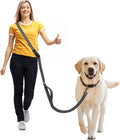 Hands Free Dog Leash,Galaxy Reflective,Crossbody Dog Leash,Black | Galaxy Reflective • Emergency Control Handle • Heavy-Duty Hardware • Multi-Way Wear