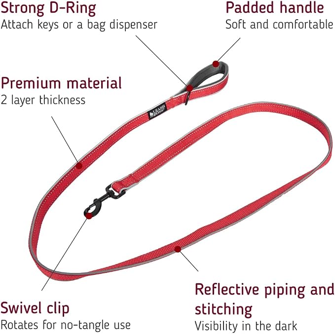Leashboss 6ft Ultra Comfort Double-Thick Soft Padded Handle Reflective Leash for Large, Medium, and Small Dogs/Puppies | Heavy Duty Nylon