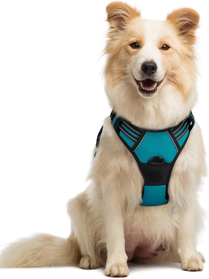 rabbitgoo Dog Harness, No Pull Medium Sized with 2 Leash Clips, Pet Vest | No Choke with Handle, Adjustable Soft Padded, Reflective, Easy Control for Walking, Teal, Medium