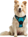 rabbitgoo Dog Harness, No Pull Medium Sized with 2 Leash Clips, Pet Vest | No Choke with Handle, Adjustable Soft Padded, Reflective, Easy Control for Walking, Teal, Medium
