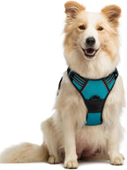 rabbitgoo Dog Harness, No Pull Medium Sized with 2 Leash Clips, Pet Vest | No Choke with Handle, Adjustable Soft Padded, Reflective, Easy Control for Walking, Teal, Medium
