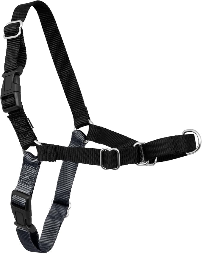 PetSafe Easy Walk Harness, No Pull Dog Harness, Medium/Large Charcoal Gray