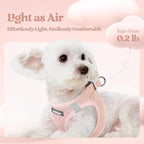 rabbitgoo Dog Harness Small Sized and Leash Set, Step-in Puppy Pet Vest | Light, Soft, Breathable Air Mesh, Easy on and Remove with Hook & Loop, Secure Reflective for Walking, Pink XXS