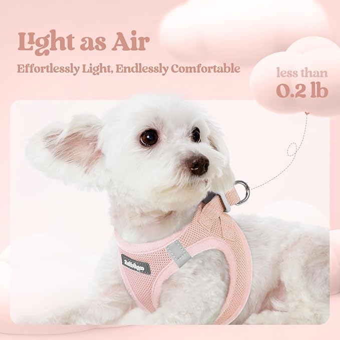 rabbitgoo Dog Harness Small Sized and Leash Set, Step-in Puppy Pet Vest | Light, Soft, Breathable Air Mesh, Easy on and Remove with Hook & Loop, Secure Reflective for Walking, Pink M