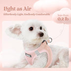 rabbitgoo Dog Harness Small Sized and Leash Set, Step-in Puppy Pet Vest | Light, Soft, Breathable Air Mesh, Easy on and Remove with Hook & Loop, Secure Reflective for Walking, Pink M