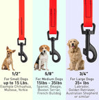 Dogline Biothane Waterproof Dog Leash Strong Coated Nylon Webbing with Black Hardware Odor-Proof Easy to Clean High Performance for Small or Large Dogs Made in USA 4 or 6 ft Lead, Cherry Red