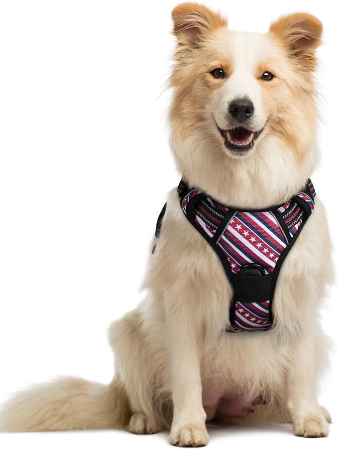 rabbitgoo Dog Harness, No Pull Medium Sized with 2 Leash Clips, Pet Vest | No Choke with Handle, Adjustable Soft Padded, Reflective, Easy Control for Walking, Red Stripe, Medium