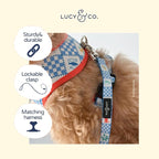 Lucy & Co. Sunny in Sicily Dog Leash, Durable Matching Dog Lead with Heavy Duty Hardware, Large