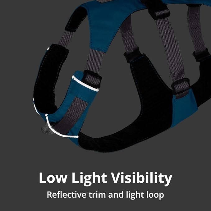 Ruffwear, Flagline Dog Harness, Lightweight and Reflective, No Pull Dog Lift Harness for Hiking, Running and Everyday Use, Alpenglow Pink, XX-Small