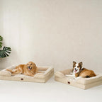 EHEYCIGA Orthopedic Small Dog Bed, Waterproof Memory Foam Washable Pet Beds | Non-Slip Bottom and Egg-Crate Foam Medium Dog Couch Bed with Washable Removable Cover, Graige