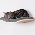 Curved Cat Shelves and Perches, Floating Cat Wall Bed with Comfortable Cushion