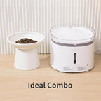CEEFU 2-Pack Extra Wide Elevated Ceramic 6.2" Shallow Cat Food Bowls | Cat Dish for Whisker Fatigue Relief, 5" Height for Easy Feeding, Durable Raised, White