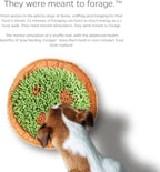 PET Parents Forager Snuffle MAT and Slow Feeder Dog Bowl, Meadow Natural
