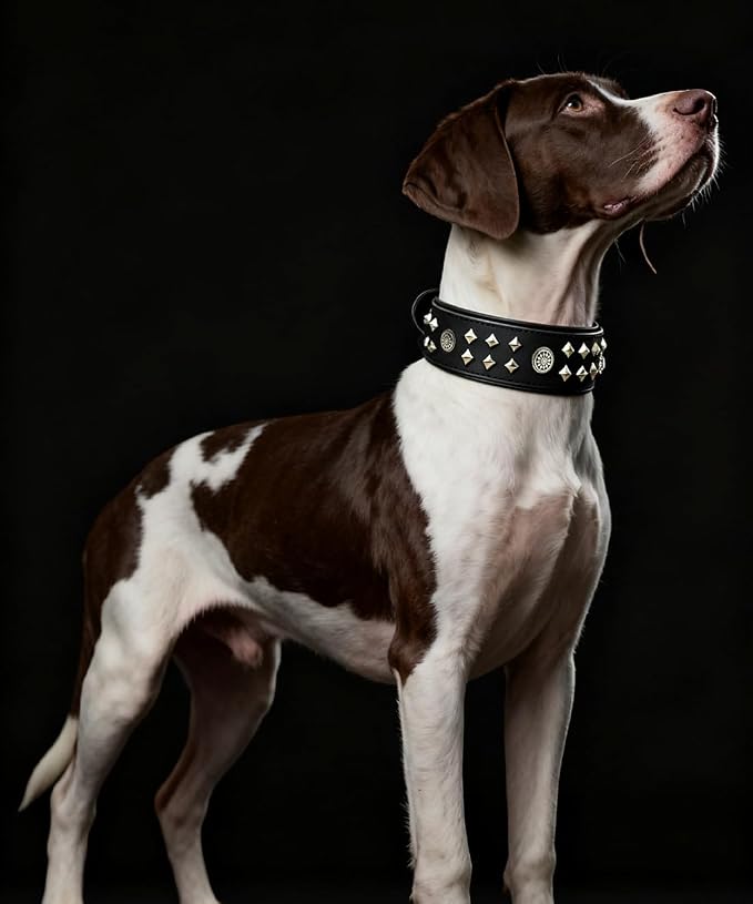 Genuine Leather Dog Collar 2.2 in Wide for Large Dogs Heavy Duty, BK-SL-S | Handcrafted,Stainless Steel Buckle and Alloy Studded,Soft Padded,Fashionable Daily Wear for Large Giant Breed,16.5-20.5 in