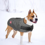 BEAUTYZOO Dog Winter Coat for Large Dogs Waterproof, Warm Reflective Great Dane Oxford Canvas Jacket, Fleece Dog Cold Weather Coats Windproof for Female Male Dogs, Grey L