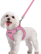 rabbitgoo Dog Harness Small Sized and Leash Set, Step-in Puppy Pet Vest | Light, Soft, Breathable Air Mesh, Easy on and Remove with Hook & Loop, Secure Reflective for Walking, Pink & Plaid Trim M