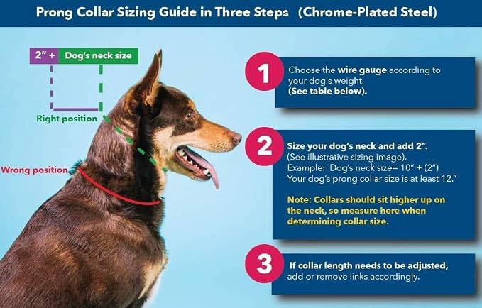 Herm Sprenger 2.25mm Prong Collar for Dog Training Adjustable Length & Easy Quick Release Buckle for Small/Medium Dogs (13-19" Neck)