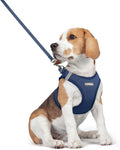 rabbitgoo Dog Harness Medium Sized and Leash Set, Step-in Puppy Pet Vest | Light, Soft, Breathable Air Mesh, Easy on and Remove with Hook & Loop, Secure Reflective for Walking, Navy Blue L