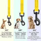 Dogline Biothane Waterproof 4ft Dog Leash Strong Coated Nylon Webbing with Black Hardware Odor-Proof Easy to Clean High Performance for Small or Large Dogs Made in USA 4ft Lead, Lemon Yellow