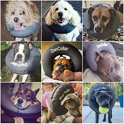 ZenPet Recovery Inflatable Collar for Dogs & Cats – Soft, Comfortable, Safe & Stress-Free Healing Alternative E-Collar After Surgery, Adjustable Donut Design, Secure Fit (XLarge)