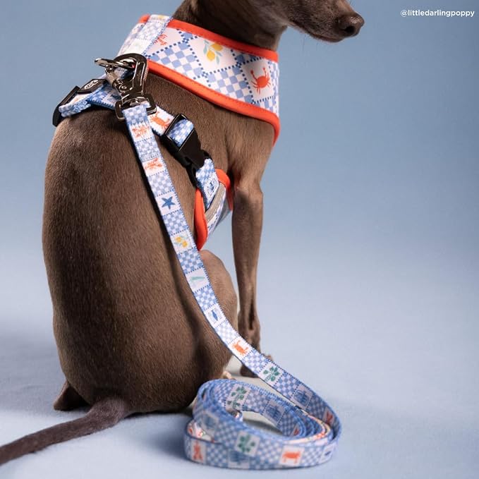 Lucy & Co. Sunny in Sicily Dog Leash, Durable Matching Dog Lead with Heavy Duty Hardware, Small