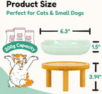 Elevated Ceramic Cat Bowls with Bamboo Stand for Cat Bowl, Whisker Friendly Shallow Cat Plate, Stable Raised Cat Food Riser for Indoor Cats (Green, Set of 1)