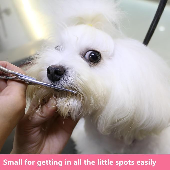 HASHIMOTO Small Dog Grooming Scissors with Rounded Tips, 5.0 inch. | Straight Blade with Micro-Serrated, Designed for Trimming around the Eyes, Ears, Nose and Paws.