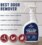 Rocco & Roxie Enzyme Stain & Odor Eliminator, 1 Gallon | Bio-enzymatic urine destroyer; CRI Certified Safe; made in USA; for carpets, bedding, litter boxes, crates & cars