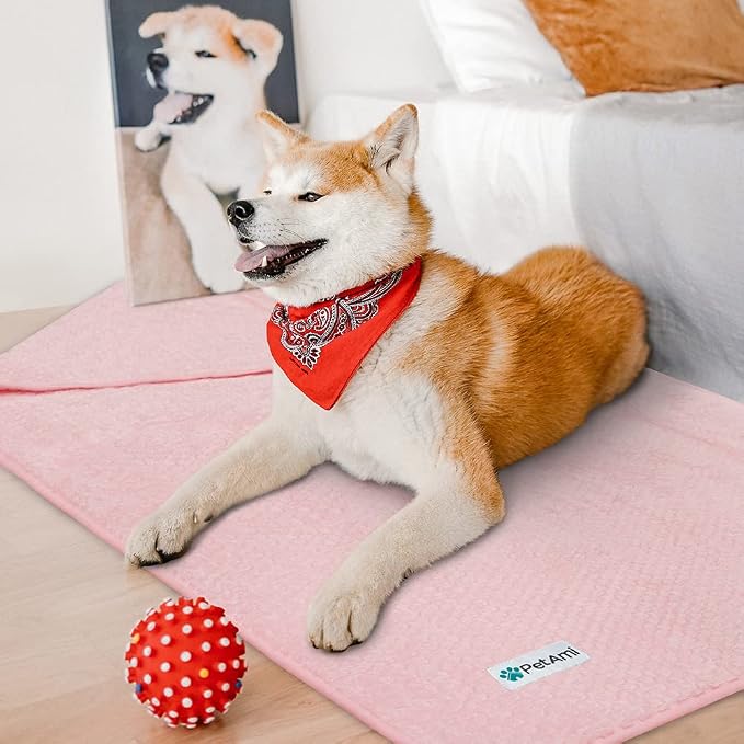 PetAmi Waterproof Dog Blanket, Leakproof Puppy Blanket, 40x60 Light Pink | For Medium Large Pets, Furniture Sofa Couch Cover Protector, Fleece Throw Indoor Cat Kitten, Reversible Washable Soft Plush