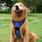 rabbitgoo Dog Harness, No Pull for Large Dogs with 2 Leash Clips, Pet Vest | No Choke with Handle, Adjustable Soft Padded, Reflective, Easy Control for Walking, Dazzling Blue, Large