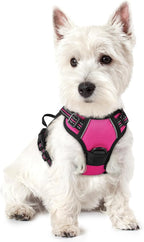 rabbitgoo Dog Harness No Pull with 2 Leash Clips, Adjustable Soft Padded, Reflective Oxford No Choke Pet Vest with Easy Control Handle for Puppy, Hot Pink, XS | No Choke with Handle, Adjustable Soft Padded, Reflective, Easy Control for Walking, Hot Pin...