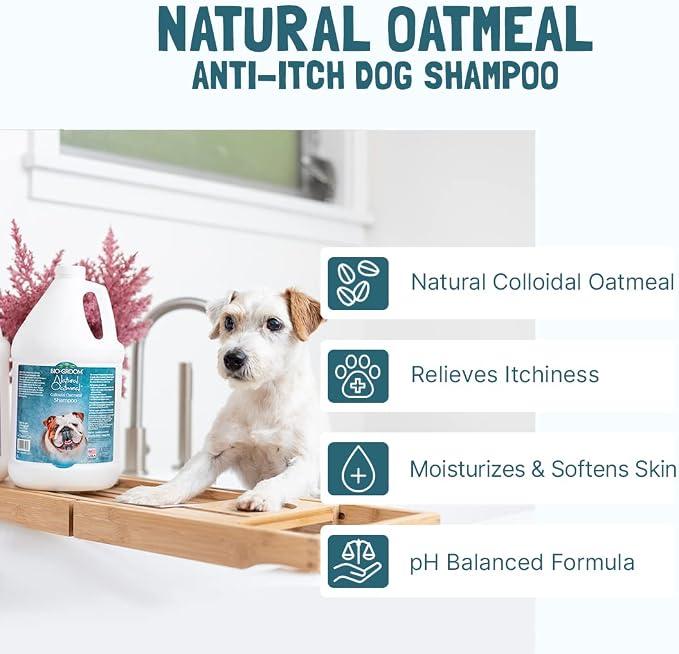 Bio-Groom Oatmeal Dog Shampoo - for Allergies and Itching, Cruelty-Free, Dog Bathing Supplies, Puppy Shampoo for Sensitive Skin, Made in USA, Anti-Itch Dog Products - 5 Gallons | Cruelty-Free, Dog Bathing Supplies, Puppy Shampoo for Sensitive Skin, Mad...