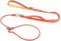 HowGo Slip Lead Dog Leash, 360°Swivel Anti-Tangle (Orange 5.5FT) | Traffic Handles Heavy-Duty Training Fur Stuck Free,Lightweight Aluminum Nylon,No-Pull Walking,All Breeds, Dog Trainer