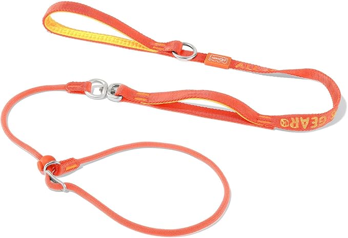 HowGo Slip Lead Dog Leash, 360°Swivel Anti-Tangle (Orange 5.5FT) | Traffic Handles Heavy-Duty Training Fur Stuck Free,Lightweight Aluminum Nylon,No-Pull Walking,All Breeds, Dog Trainer