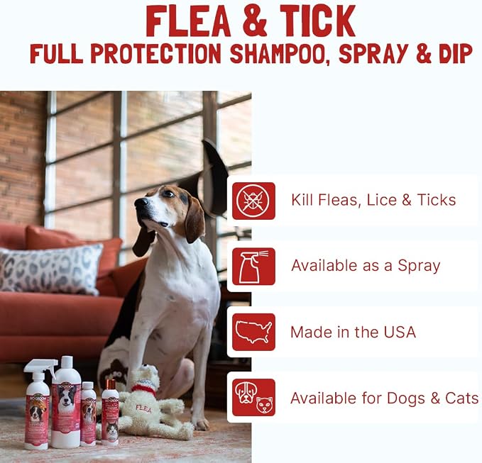 Bio-Groom Flea & Tick Dog Shampoo, Protein-Lanolin Shampoo, 5 Gallons | Flea and Tick Prevention Treatment for Dogs & Cats, Cruelty-Free, Made in USA, Natural Repellent