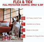 Bio-Groom Flea & Tick Dog, Protein-Lanolin Shampoo, 32 fl oz, 1-Pack | Shampoo, Flea and Tick Prevention for Dogs, Cat Treatment, Cruelty-Free, Made in USA, Natural Repellent